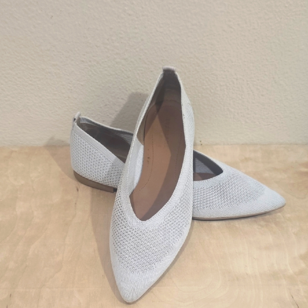 🪴 EVERLANE  40 HOUR POINTED TOE FLATS